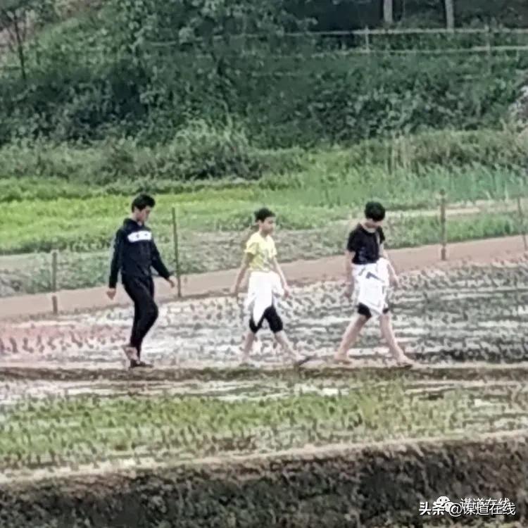 苏马荡谋道镇民宿,苏马荡南浦古镇民宿