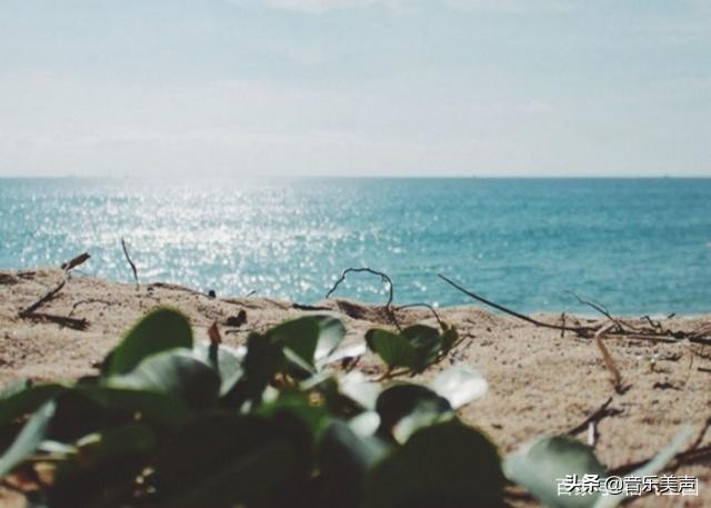 最适合做铃声的欧美流行歌,欧美歌曲推荐好听到爆简单