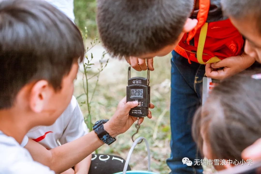翻地、播种…无锡老小将课堂搬到了田间地头