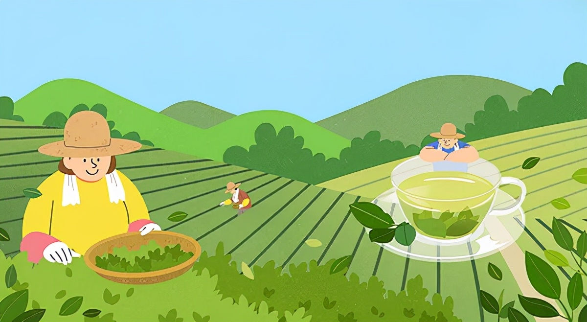 肯花上亿资金研发上千种植物成分老外为何独爱这一口“茶”