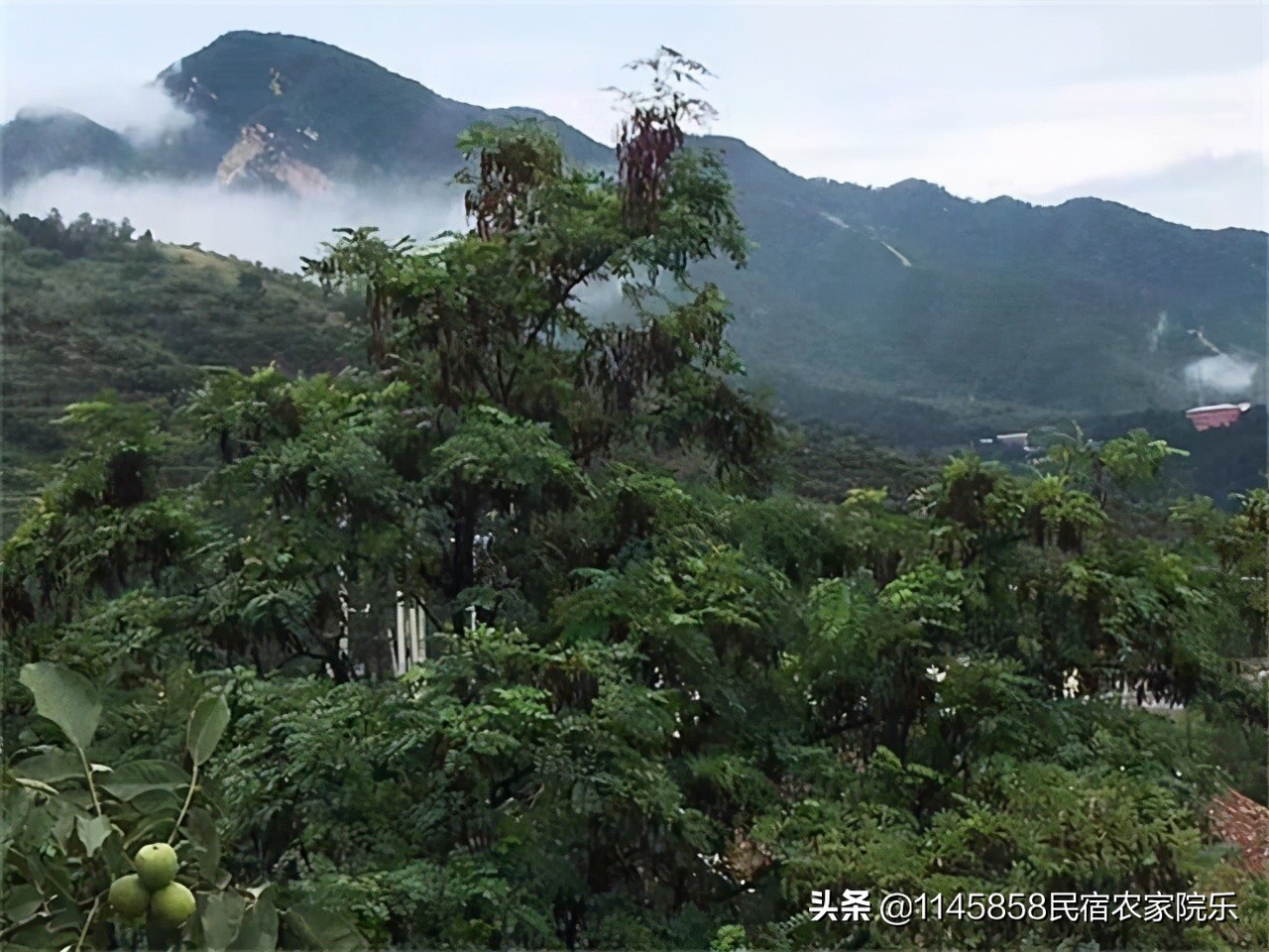 蓟县车神架广聚源农家院价格一览,蓟县车神架口碑最好的农家院