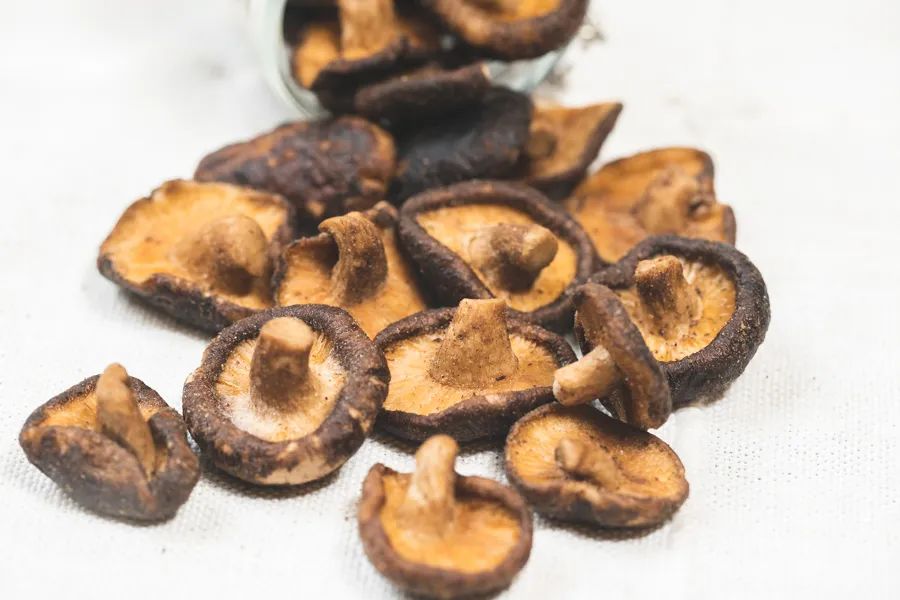 什么牌子的果蔬干最好,冻干果蔬干排行榜