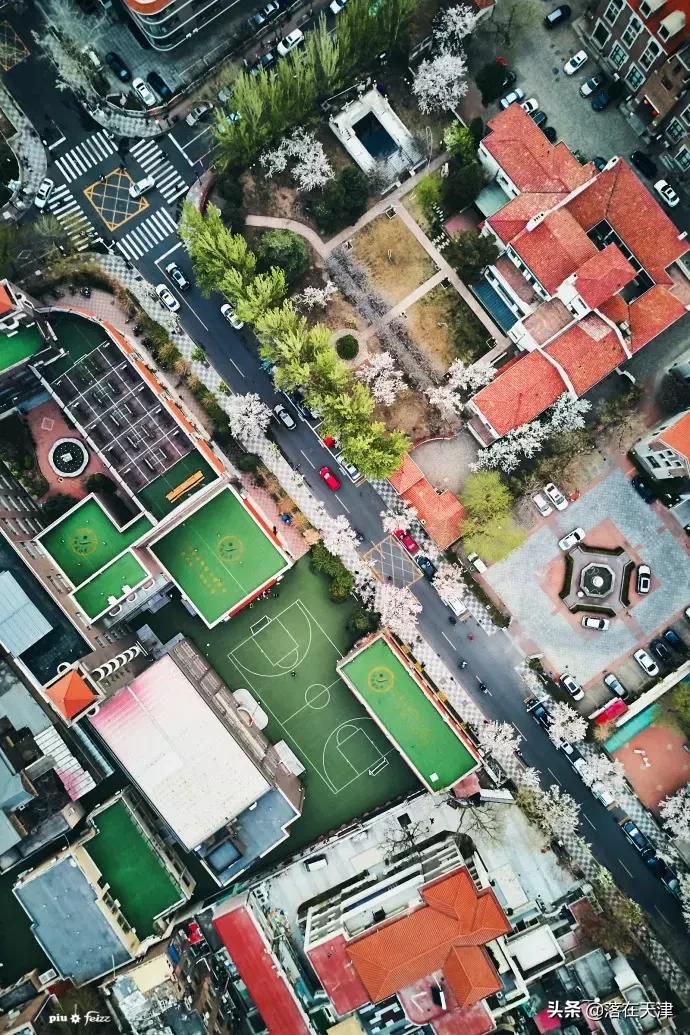 天津郊游免费最佳景点,天津免费开放的景点