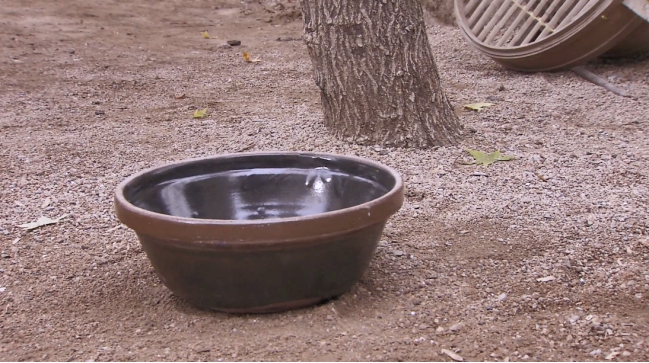 古代出土女士鞋,明代女性古墓出土的鞋子