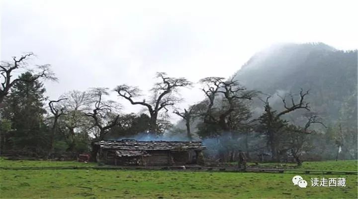 鲁霞美景,鲁霞村风光