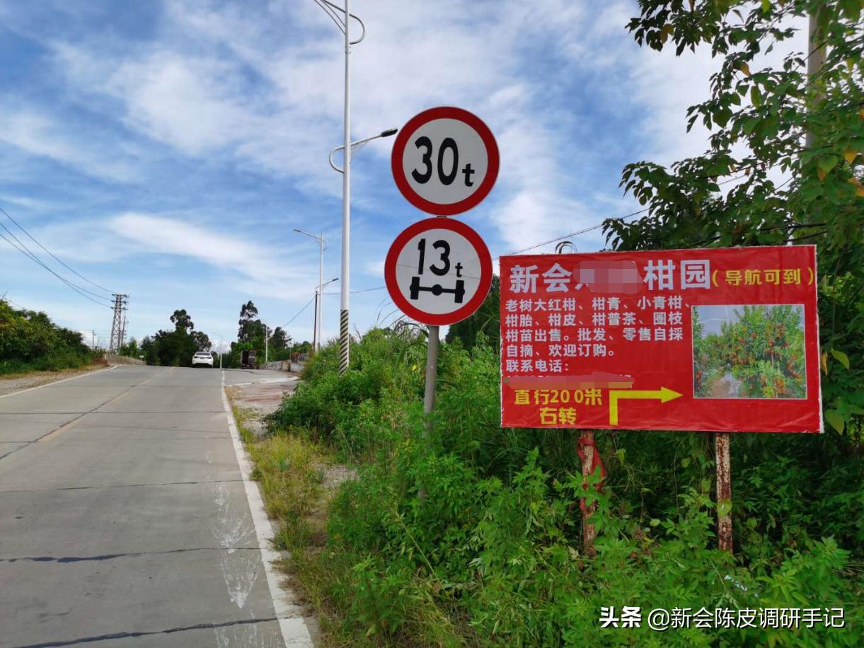 新会陈皮真实存在的核心产区,被人消灭的陈皮产业