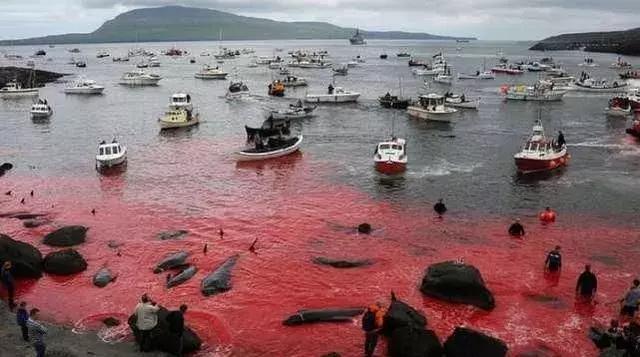 法罗群岛桥,法罗群岛湖