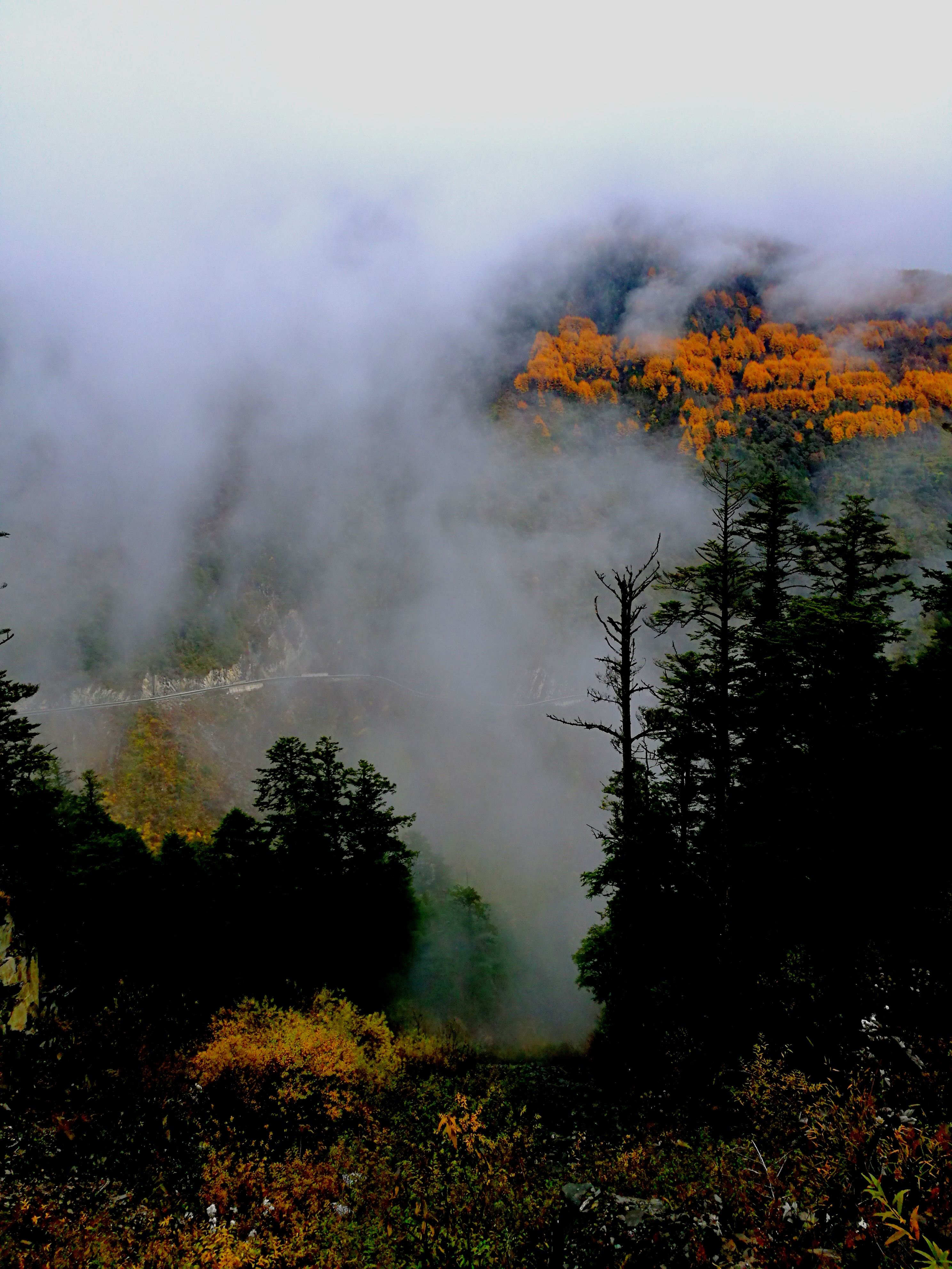 夹金山垭口云海,重峦叠嶂层峦叠嶂