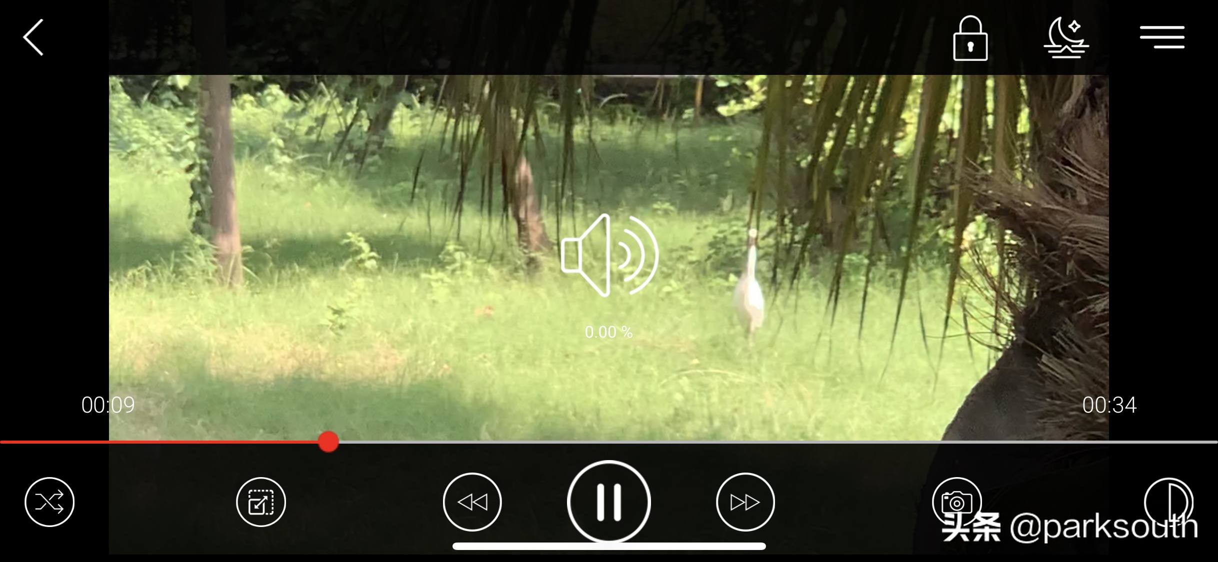 您必须在2020年尝试的10个最佳iPhone视频*放播**器应用程序