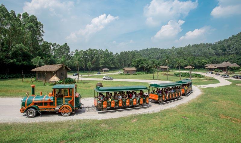 广州旅游攻略广州长隆野生动物园,广东游玩攻略广州长隆野生动物园