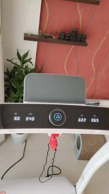 在家也能好好健身,宅在家也能健身