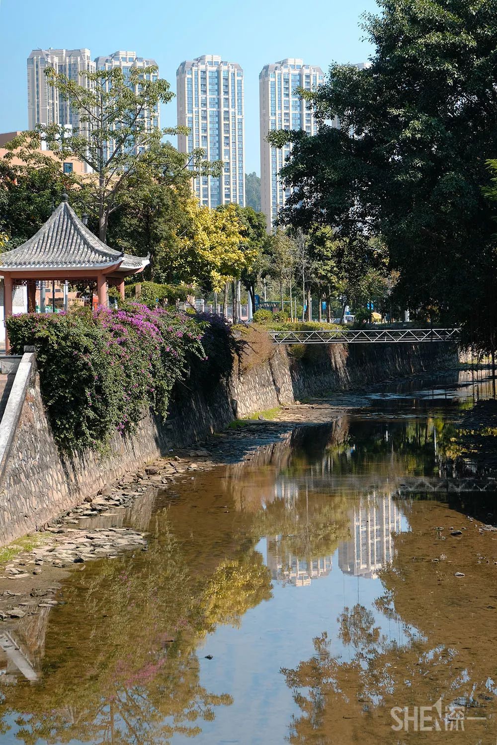 别总去大沙河了！深圳这条极少有人知道的河流，更神秘
