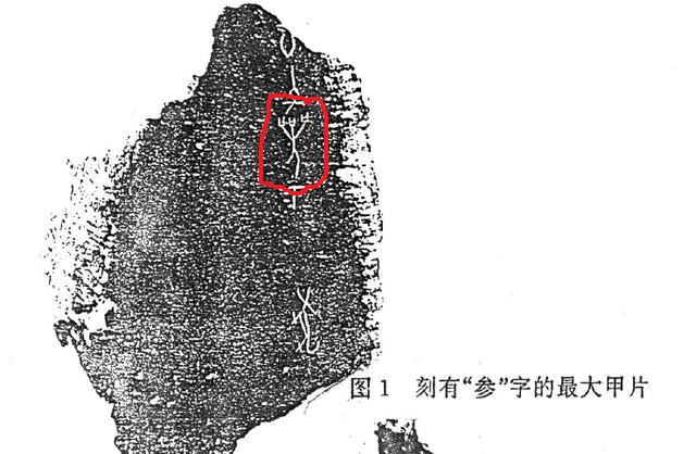 岑参的参为什么这么读,岑参的参读音正确