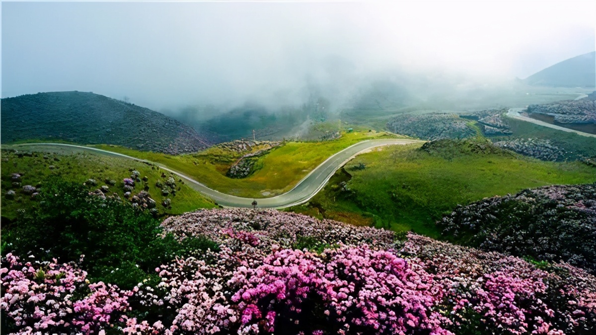 弋舟：你可曾走过乌蒙