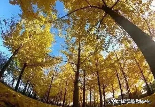 大美长武全部视频,把大好河山收藏