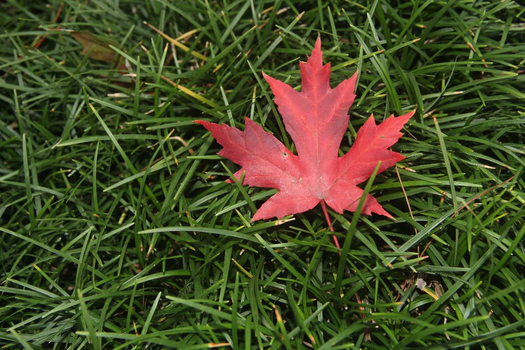 比60d高端的相机,60d单反相机价格