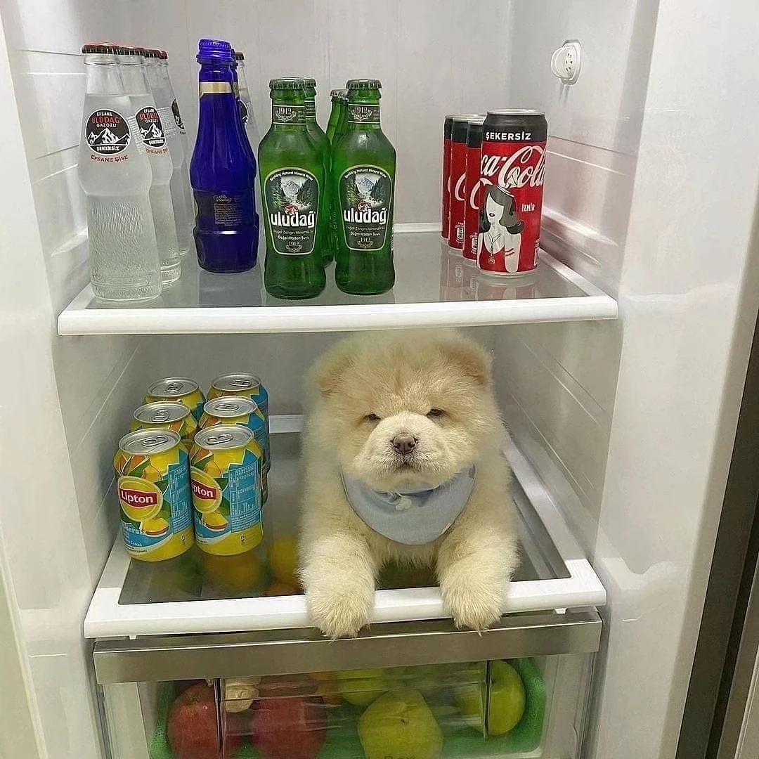 寝室群名称大全女生可爱,你们的寝室群名叫什么