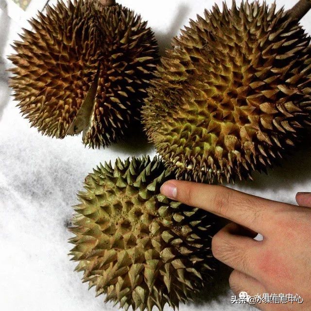 开鲜花店踩过的坑,开水果店过来人的忠告