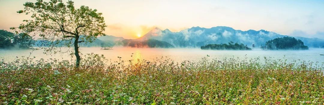 吐鲁番的葡萄熟了的景色,吐鲁番的葡萄熟了美丽的风景