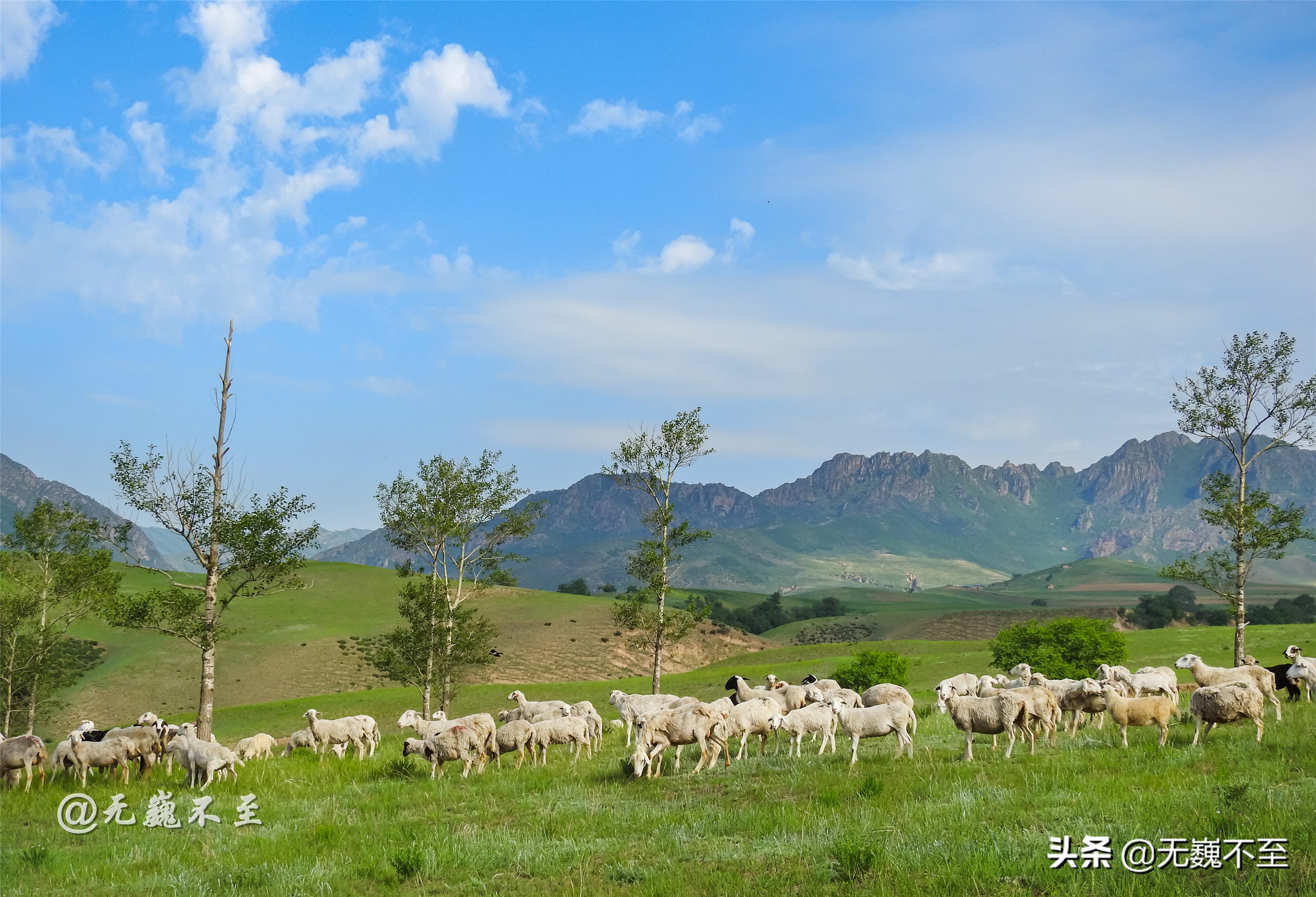 3天自驾克什克腾旗旅游攻略,内蒙古腾格里自驾游最佳路线