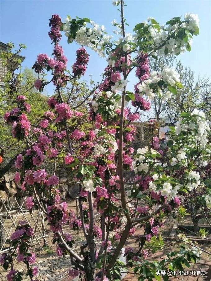 天津盘山紫云金润山庄,天津蓟州盘山金润山庄