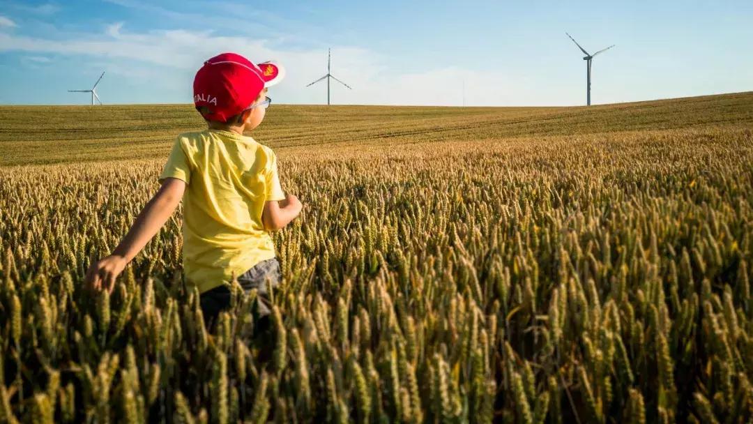 华为新影像大赛9张图,2019华为新影像大赛