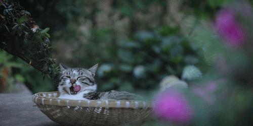 越极简越接近自然,越极简越幸福越简单