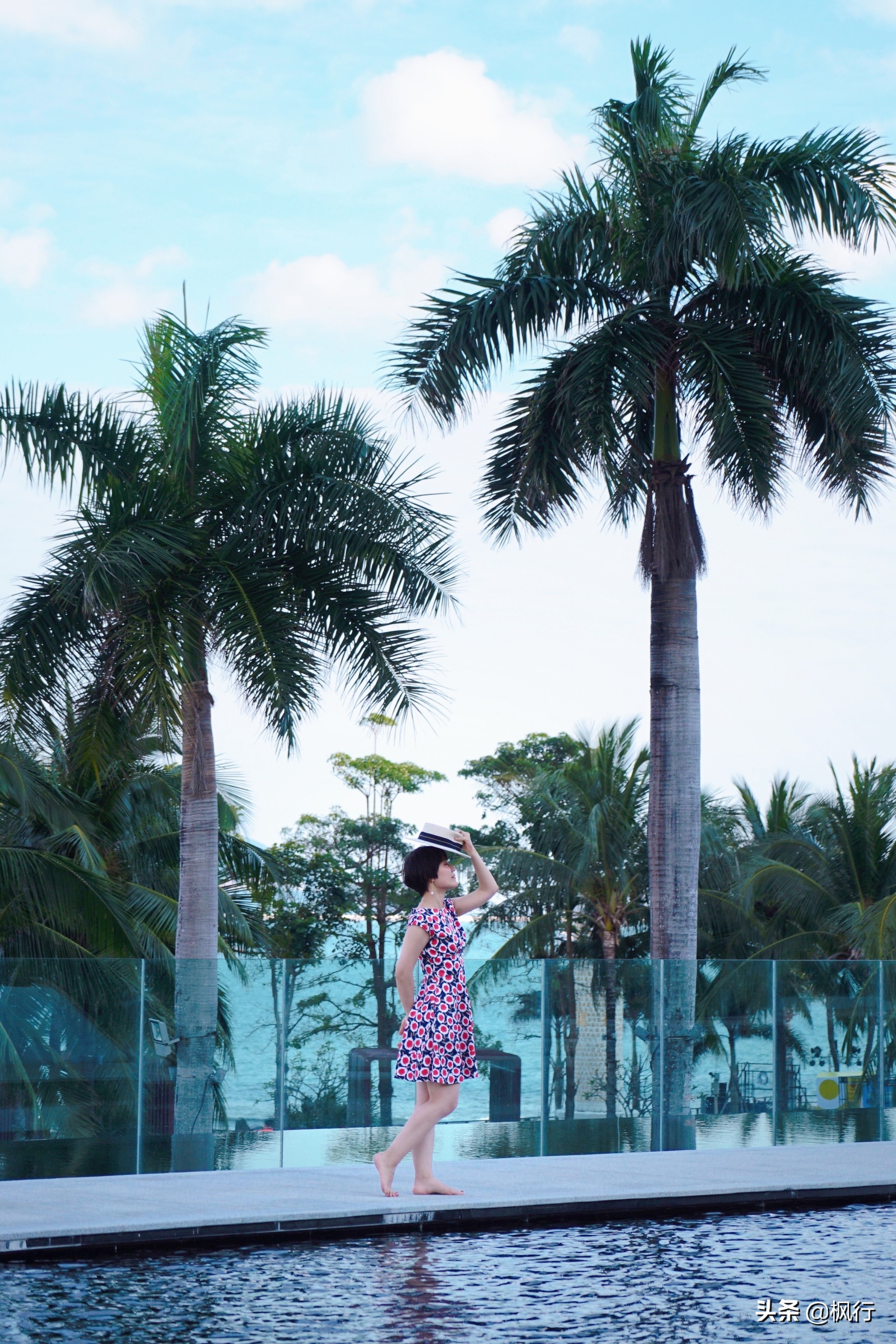 被猴子袭击，门票昂贵，拍照被轰，被我全程吐槽的三亚到底值不值