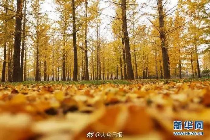 《生僻字》火遍全网，山东这些生僻地名怕是再也藏不住了！