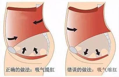 太极拳开髋提臀,练太极拳怎样改掉翘臀的毛病