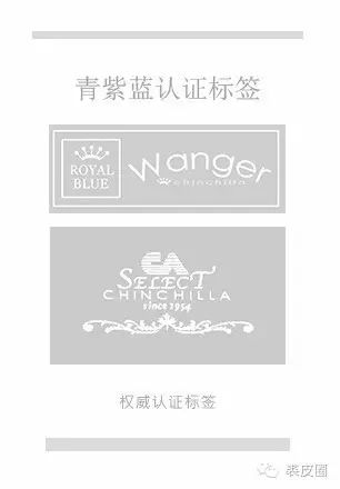 当今最昂贵的皮草是什么,顶级皮草有哪些种类