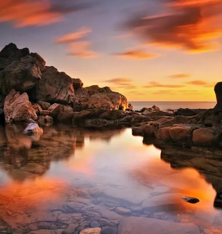 葡萄酒的起源视频,葡萄酒是怎么来的