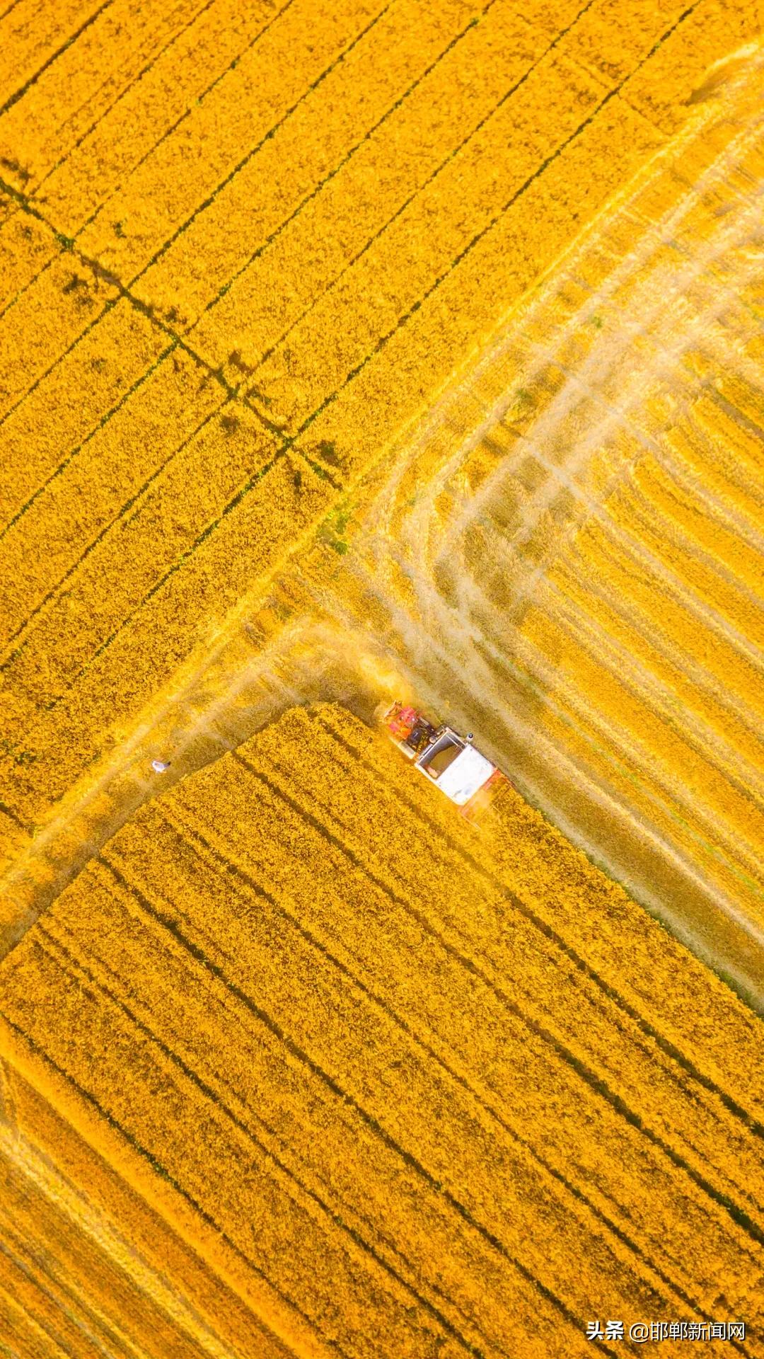 一带两抓三提升！2021年肥乡265个村要这样干