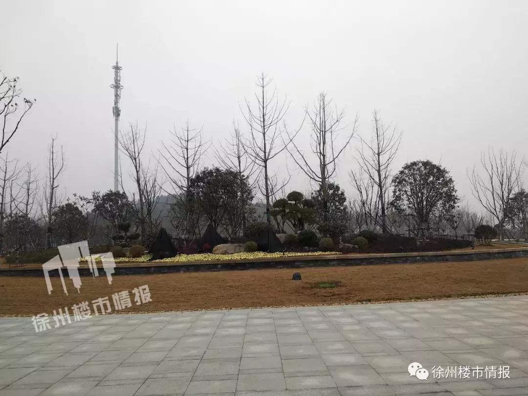 徐州森林公园,徐州森林公园开放时间最新