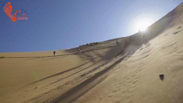 沙漠亲子营价格 (沙漠亲子陪伴营优惠政策)