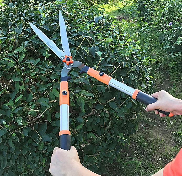 以满足农户需求为己任喜达利园林工具成为农友好帮手