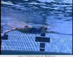 扶板自由泳打腿,自由泳打腿技巧总结