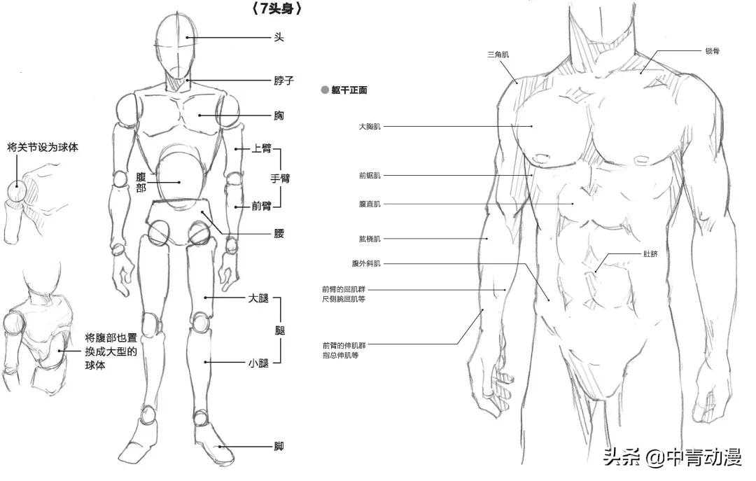 男漫绘画教程,漫画风人物肖像怎么画教程