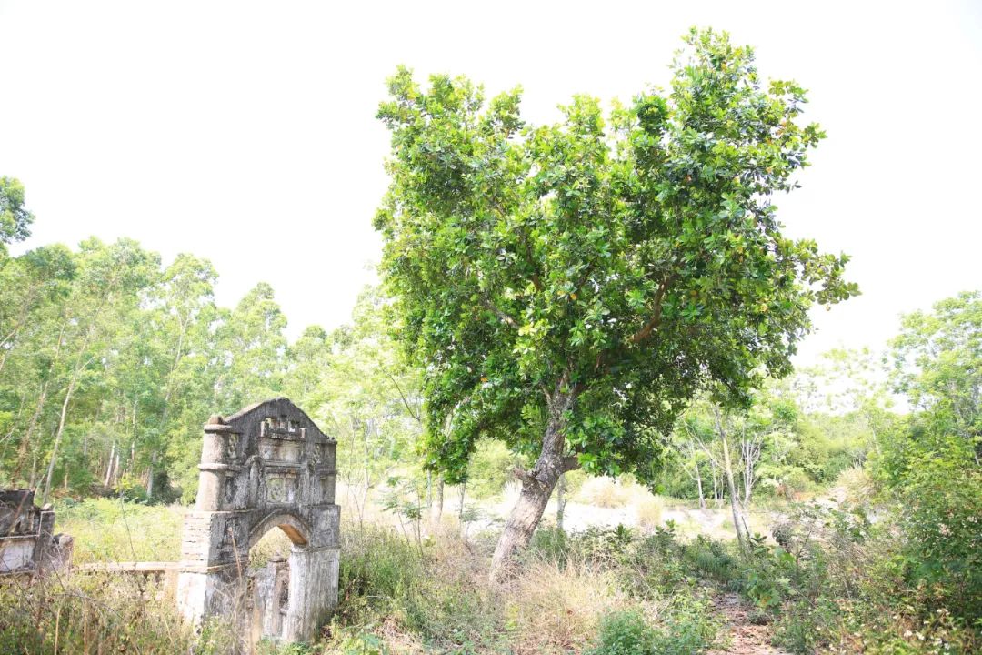 奋斗百年路启航新征程丨红色堡垒水井村！