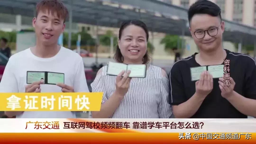 猪兼强驾校处理结果,猪兼强驾校最新消息