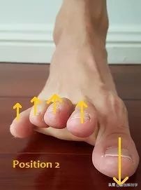 足踝稳定性差应该怎么练,扁平足怎么锻炼脚踝力量