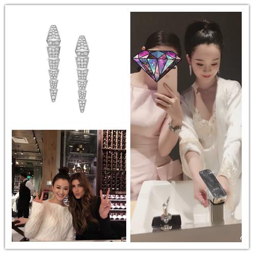 陈昱霖的奢侈品,陈昱霖同款珠宝包