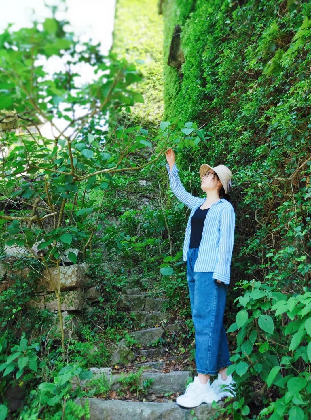 列岛之枸杞岛旅游攻略,嵊山岛枸杞岛旅游攻略
