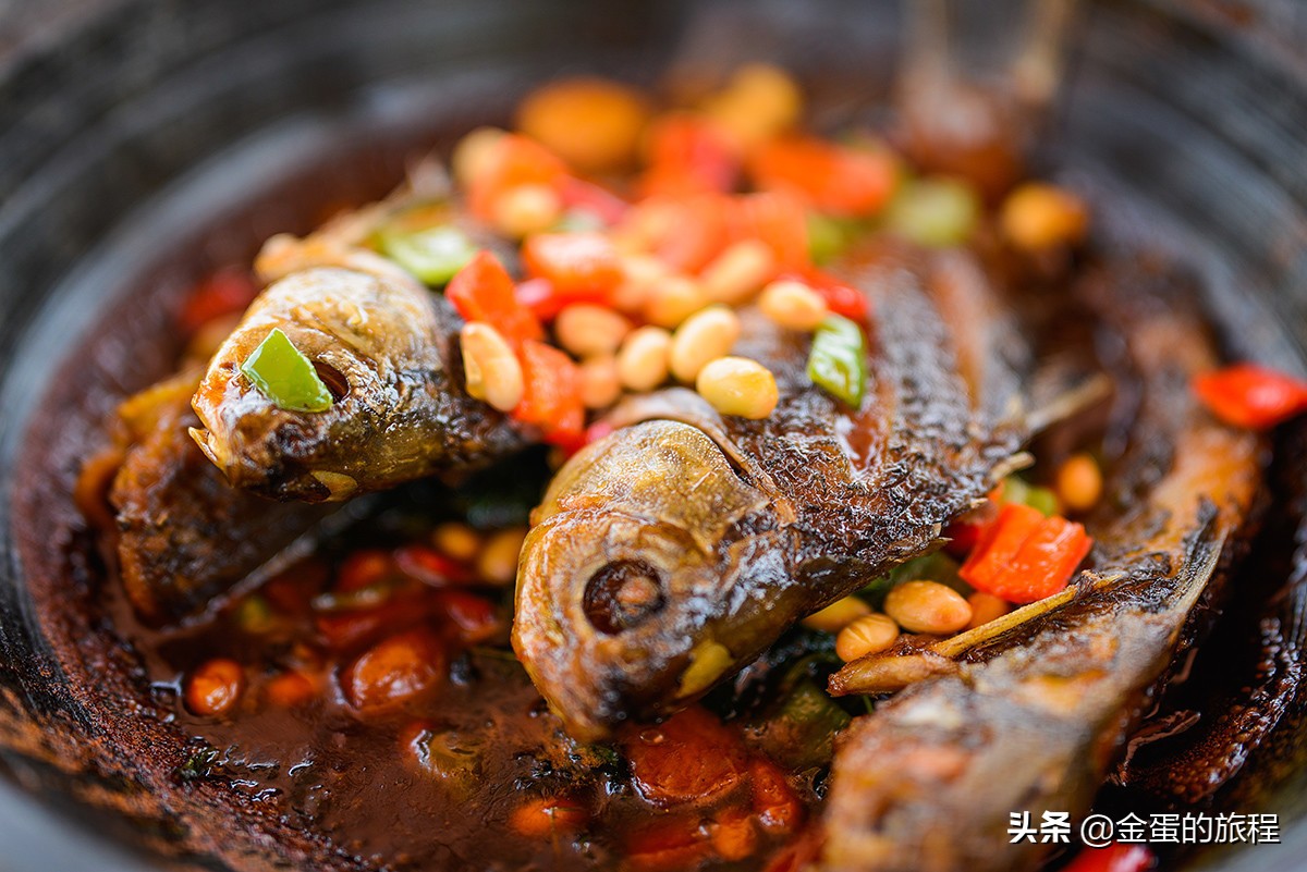 苏州旅游沙家浜,人人都知江南好下一句