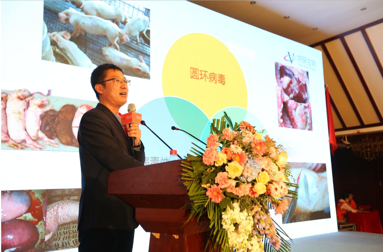 他山之石可以攻玉实例,他山之石可以攻玉的用法