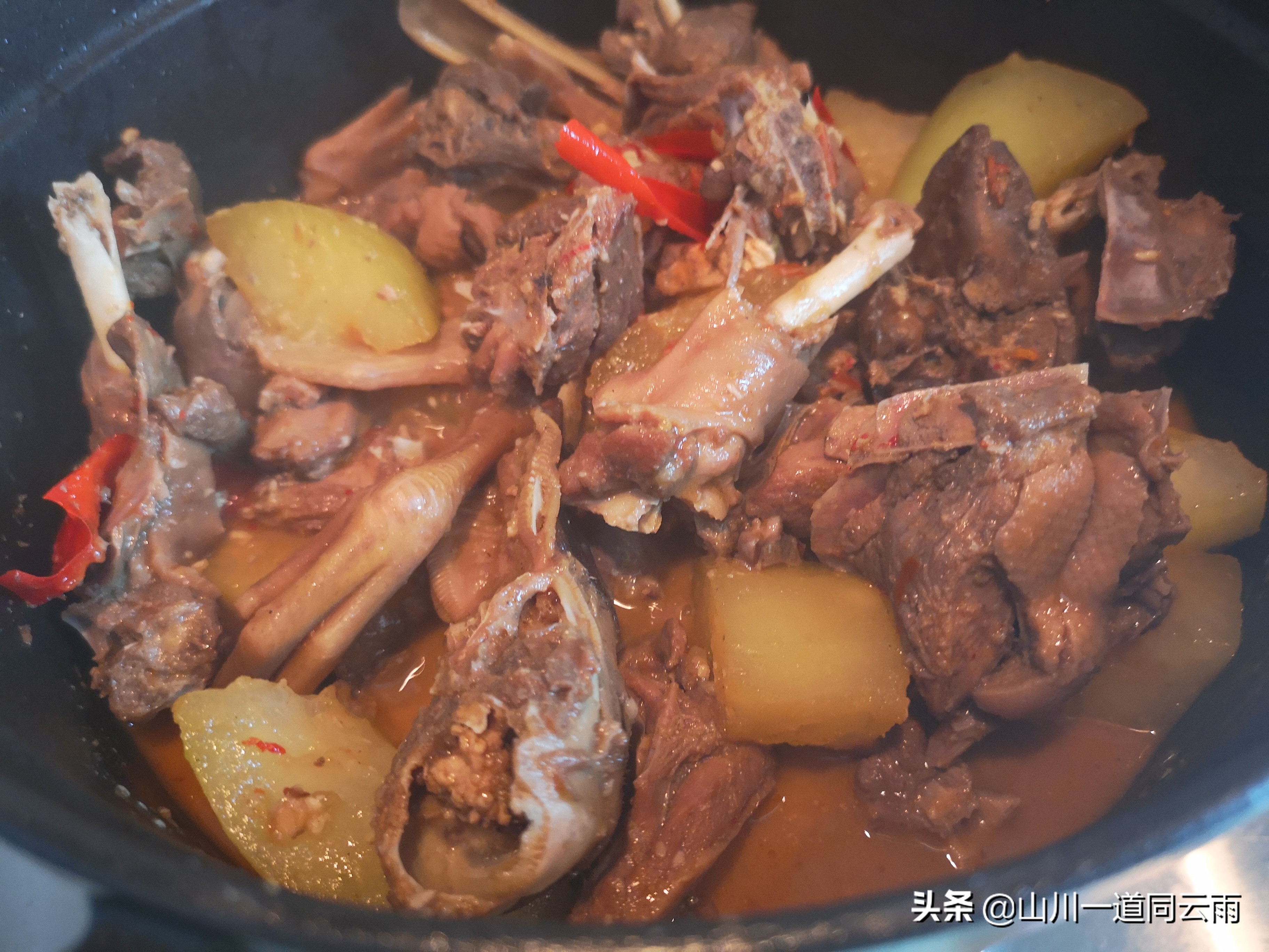 正宗川味火焰醉鹅,顺德火焰醉鹅是用什么鹅做的