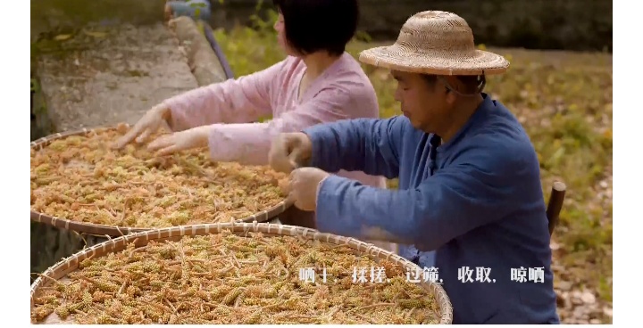 松花饼吃着有松花粉的味道吗,松花粉糯米饼