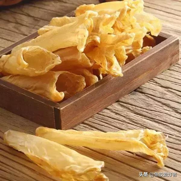 花胶中鳘鱼胶好不好,怎么选花胶鱼胶