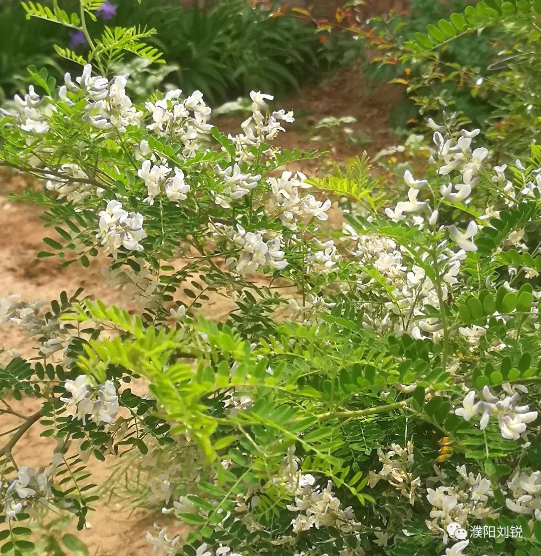 瓒ｈ鏋楀啿,瓒ｈ娑炴簮