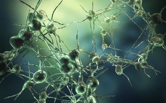 面神经炎治疗首选什么药,面神经炎的康复训练视频